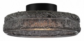 Накладной светильник ST-Luce ANTIKE SL6143.412.01 в Камышлове - kamyshlov.mebel24.online | фото 3
