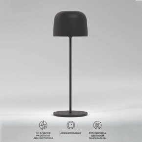 Настольная лампа декоративная Elektrostandard Bitty a069002 в Камышлове - kamyshlov.mebel24.online | фото 2