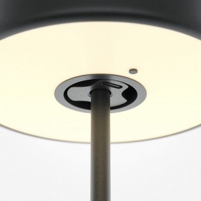 Настольная лампа декоративная Maytoni AI Collaboration MOD229TL-L3B3K2 в Камышлове - kamyshlov.mebel24.online | фото 5