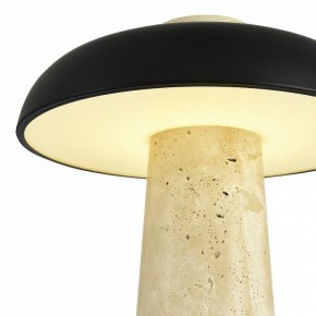 Настольная лампа декоративная ST-Luce Earthy SL1194.424.01 в Камышлове - kamyshlov.mebel24.online | фото 6