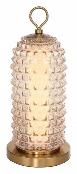Настольная лампа декоративная ST-Luce SAGUARO SL6144.304.01 в Камышлове - kamyshlov.mebel24.online | фото 2