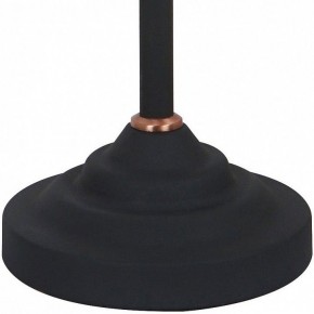 Настольная лампа офисная Arte Lamp Braccio A2054LT-1BK в Камышлове - kamyshlov.mebel24.online | фото 4