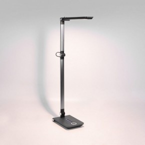 Настольная лампа офисная Elektrostandard Great a065290 в Камышлове - kamyshlov.mebel24.online | фото 3