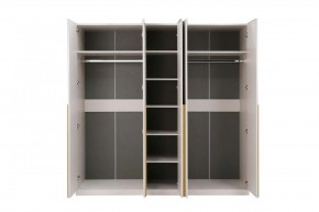 НИКОЛЬ 25 Шкаф 5-ти створчатый в Камышлове - kamyshlov.mebel24.online | фото 3