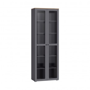 ОСТИН Шкаф-витрина 16.394.02 (графит) в Камышлове - kamyshlov.mebel24.online | фото