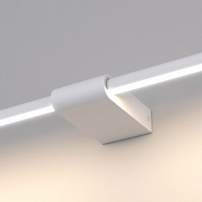 Подсветка для картины Elektrostandard Luar a062889 в Камышлове - kamyshlov.mebel24.online | фото 5
