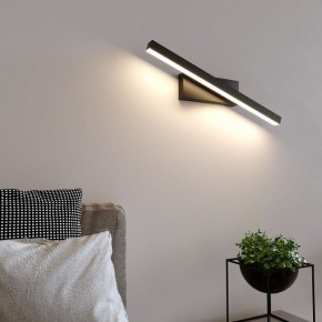 Подсветка для картины Elektrostandard Rino a061222 в Камышлове - kamyshlov.mebel24.online | фото 3