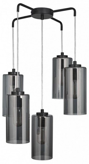 Подвесная люстра 33 идеи PND169S PND169S.05.17.001.BL-S16GR в Камышлове - kamyshlov.mebel24.online | фото