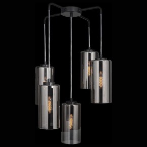 Подвесная люстра 33 идеи PND169S PND169S.05.17.001.BL-S16GR в Камышлове - kamyshlov.mebel24.online | фото 2