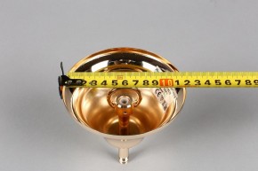 Подвесная люстра Aployt Daniele APL.701.03.12 в Камышлове - kamyshlov.mebel24.online | фото 6