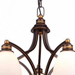 Подвесная люстра Arte Lamp Bonito A9518LM-5BA в Камышлове - kamyshlov.mebel24.online | фото