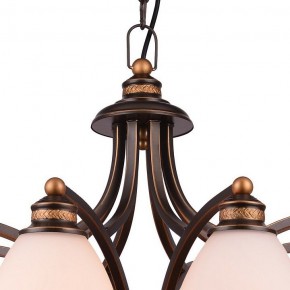 Подвесная люстра Arte Lamp Bonito A9518LM-8BA в Камышлове - kamyshlov.mebel24.online | фото