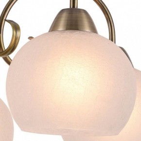 Подвесная люстра Arte Lamp Margo A9317LM-5AB в Камышлове - kamyshlov.mebel24.online | фото 2