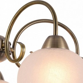 Подвесная люстра Arte Lamp Margo A9317LM-5AB в Камышлове - kamyshlov.mebel24.online | фото 3