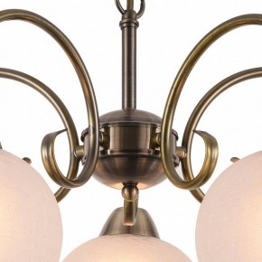 Подвесная люстра Arte Lamp Margo A9317LM-5AB в Камышлове - kamyshlov.mebel24.online | фото 4