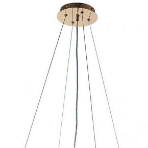 Подвесная люстра Arte Lamp Nicoletta A1052SP-8GO в Камышлове - kamyshlov.mebel24.online | фото 3