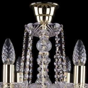 Подвесная люстра Bohemia Ivele Crystal 1402 1402/8/195/G/tube в Камышлове - kamyshlov.mebel24.online | фото 4