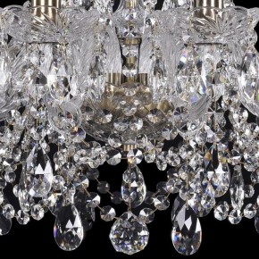 Подвесная люстра Bohemia Ivele Crystal 1411 1411/10/195/Pa в Камышлове - kamyshlov.mebel24.online | фото 3