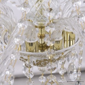 Подвесная люстра Bohemia Ivele Crystal AL1613 AL16313/8/240 WMG в Камышлове - kamyshlov.mebel24.online | фото 5