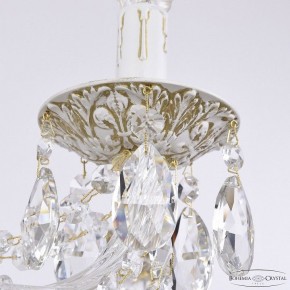 Подвесная люстра Bohemia Ivele Crystal AL1613 AL16313/8/240 WMG в Камышлове - kamyshlov.mebel24.online | фото 7