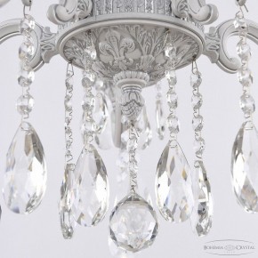 Подвесная люстра Bohemia Ivele Crystal AL7801 AL78101/5/175 A WMN в Камышлове - kamyshlov.mebel24.online | фото 5