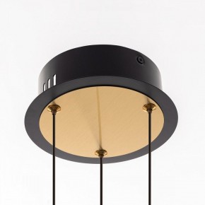 Подвесная люстра Citilux HELLY CL211042 в Камышлове - kamyshlov.mebel24.online | фото 11