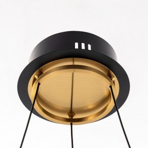 Подвесная люстра Citilux HELLY CL211042 в Камышлове - kamyshlov.mebel24.online | фото 12
