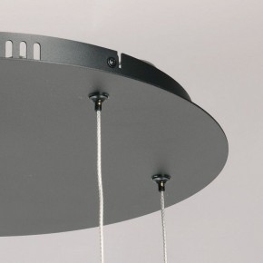 Подвесная люстра DeMarkt Ауксис 11 722013106 в Камышлове - kamyshlov.mebel24.online | фото 10