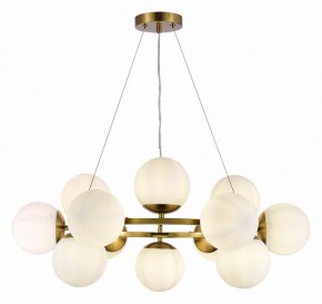 Подвесная люстра EVOLUCE Fratta SLE1191-203-12 в Камышлове - kamyshlov.mebel24.online | фото 3