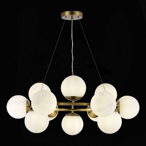 Подвесная люстра EVOLUCE Fratta SLE1191-203-12 в Камышлове - kamyshlov.mebel24.online | фото 4