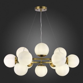 Подвесная люстра EVOLUCE Fratta SLE1191-203-12 в Камышлове - kamyshlov.mebel24.online | фото 5