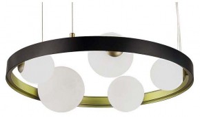 Подвесная люстра F-promo Shanku 4628-5P в Камышлове - kamyshlov.mebel24.online | фото
