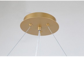 Подвесная люстра Favourite Ginkoa 4080-10P в Камышлове - kamyshlov.mebel24.online | фото 9