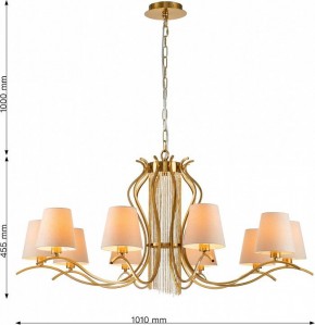 Подвесная люстра Favourite Ketten 2867-10P в Камышлове - kamyshlov.mebel24.online | фото 4