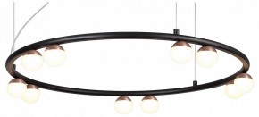 Подвесная люстра Favourite Knopp 4320-10P в Камышлове - kamyshlov.mebel24.online | фото