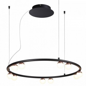 Подвесная люстра Favourite Knopp 4320-10P в Камышлове - kamyshlov.mebel24.online | фото 2