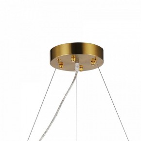 Подвесная люстра Favourite Magnitudo 2206-12P в Камышлове - kamyshlov.mebel24.online | фото 7