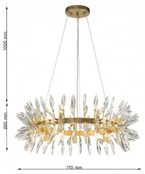 Подвесная люстра Favourite Rays 4058-14P в Камышлове - kamyshlov.mebel24.online | фото 7