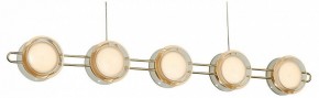 Подвесная люстра Favourite Yo-yo 4334-10P в Камышлове - kamyshlov.mebel24.online | фото