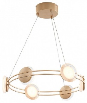 Подвесная люстра Favourite Yo-yo 4334-6P в Камышлове - kamyshlov.mebel24.online | фото 2