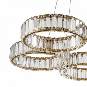 Подвесная люстра Indigo Favo V000074L в Камышлове - kamyshlov.mebel24.online | фото 5