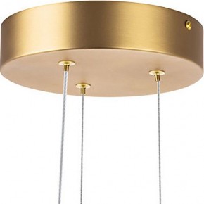 Подвесная люстра Lightstar Bergamo 745247 в Камышлове - kamyshlov.mebel24.online | фото 6