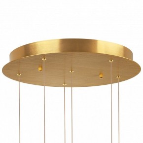 Подвесная люстра Lightstar Colore 805169 в Камышлове - kamyshlov.mebel24.online | фото 6