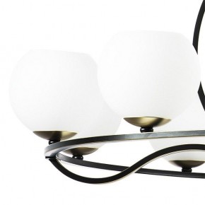 Подвесная люстра Lightstar Enna 762117 в Камышлове - kamyshlov.mebel24.online | фото 4