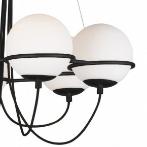 Подвесная люстра Lightstar Globo 803267 в Камышлове - kamyshlov.mebel24.online | фото 5