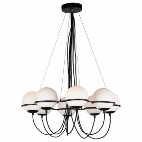 Подвесная люстра Lightstar Globo 803287 в Камышлове - kamyshlov.mebel24.online | фото 2