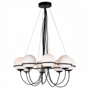Подвесная люстра Lightstar Globo 803287 в Камышлове - kamyshlov.mebel24.online | фото 3