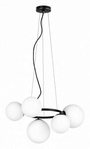 Подвесная люстра Lightstar Globo 815057 в Камышлове - kamyshlov.mebel24.online | фото 2