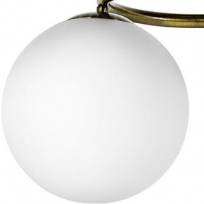 Подвесная люстра Lightstar Globo 815091 в Камышлове - kamyshlov.mebel24.online | фото 3