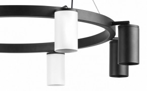 Подвесная люстра Lightstar Rullo LR018364374 в Камышлове - kamyshlov.mebel24.online | фото 5